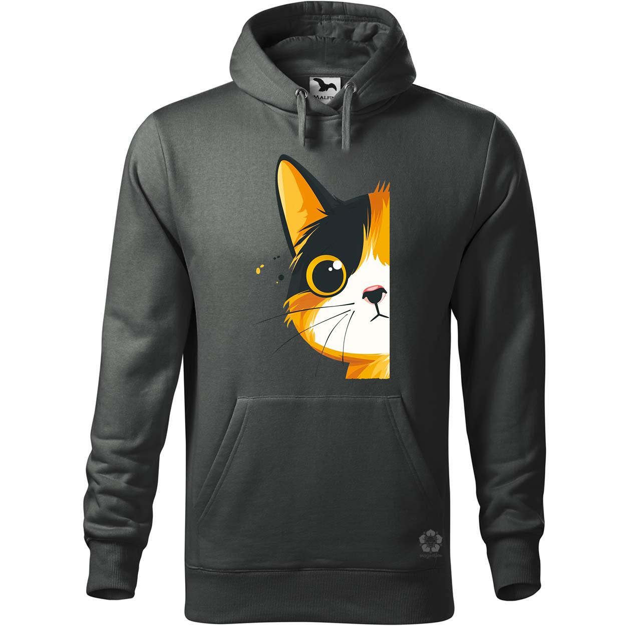 Macska kukucskál v4 egyedi  pulóver 