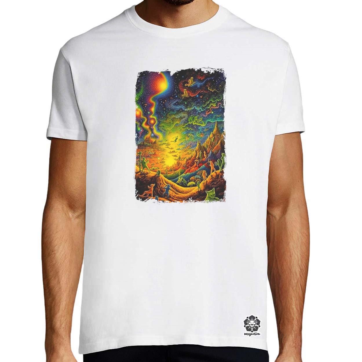 DMT művészet cicák v3 egyedi póló 