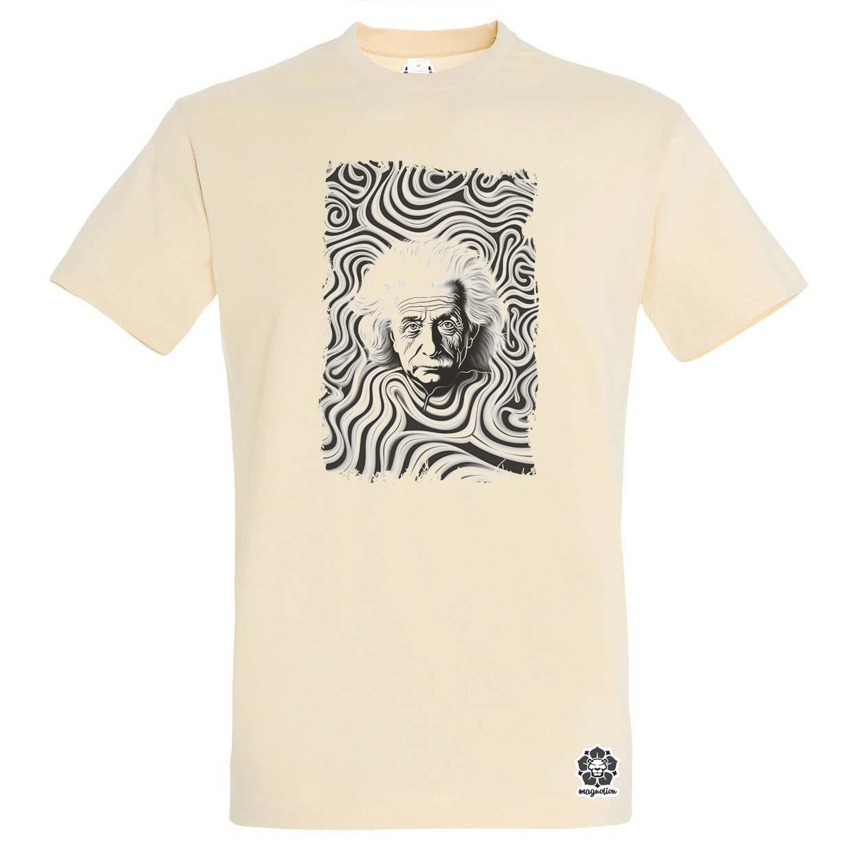 Pop art Einstein v20 egyedi póló 