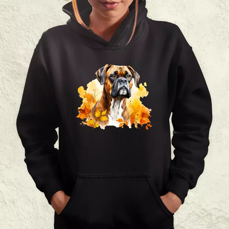 Őszi Boxer v4 női pulóver