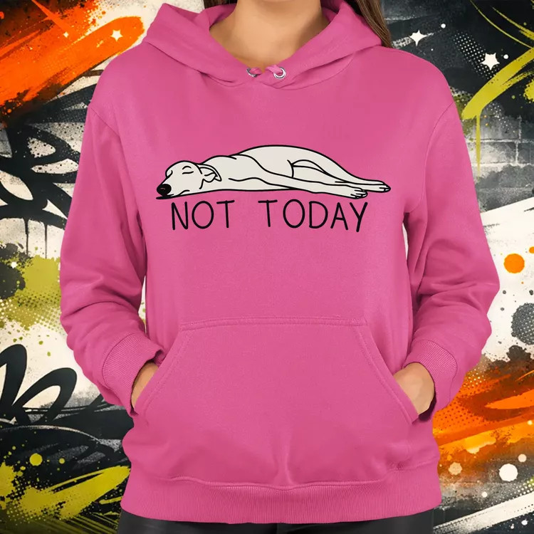 Not Today női pulóver