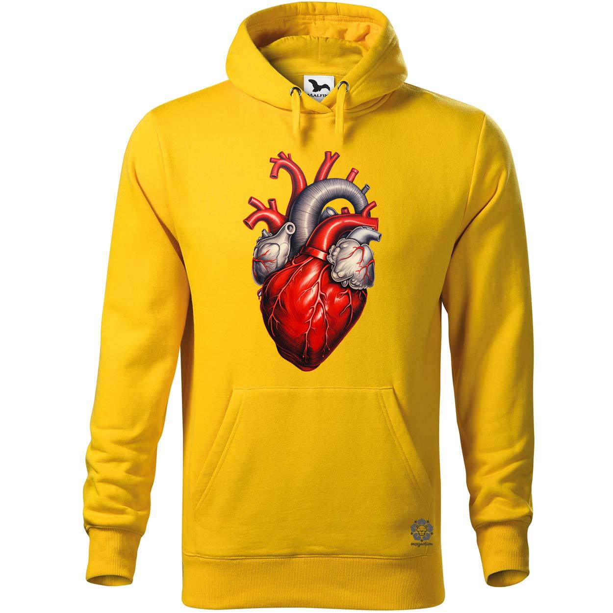 Anatom szív v1