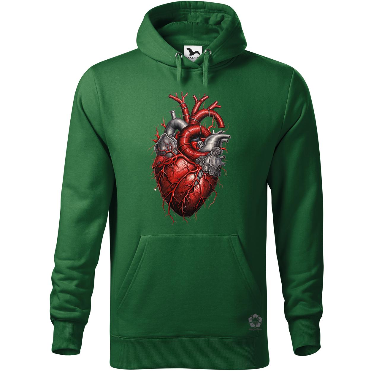 Anatom szív v4