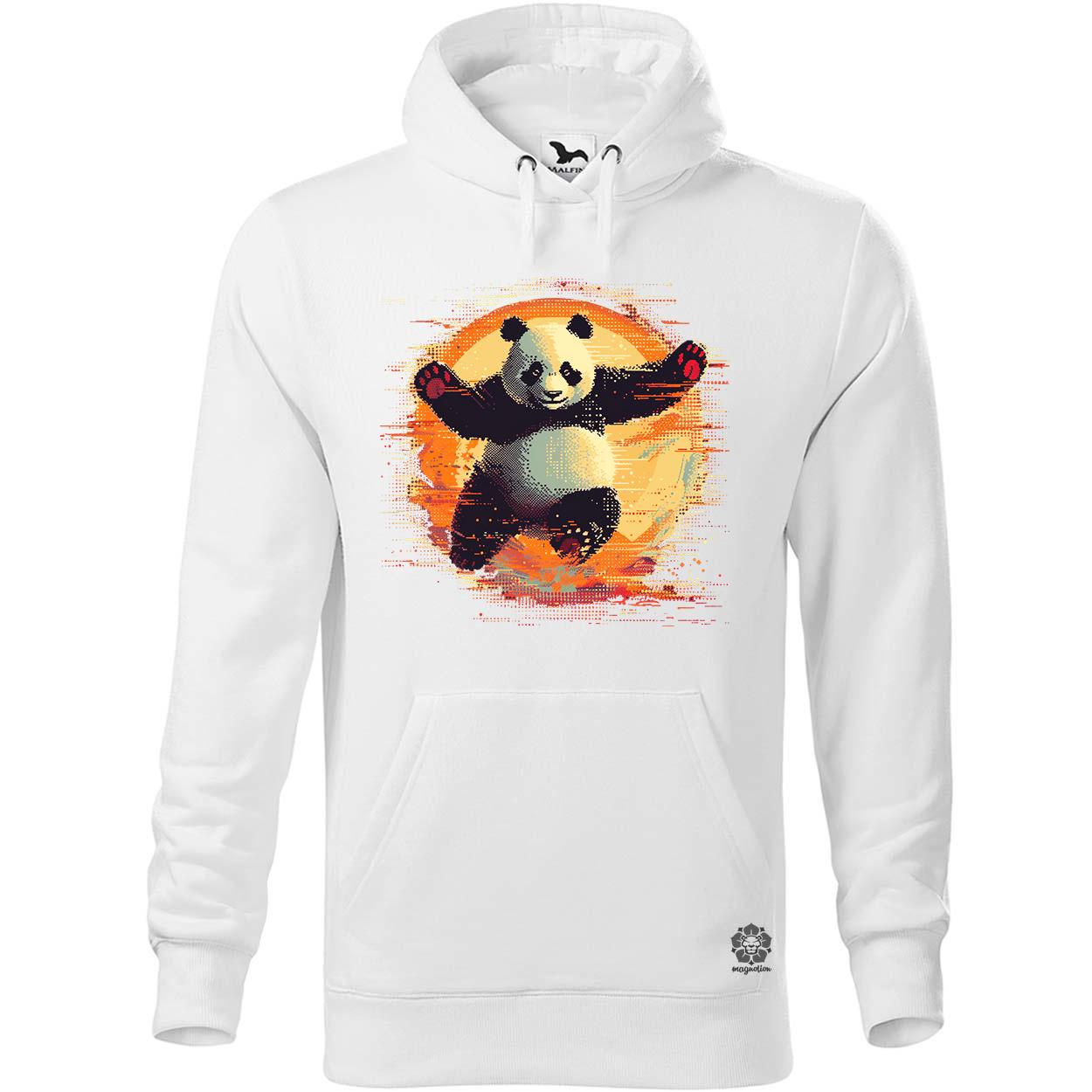 Pixelart kung fu panda v1