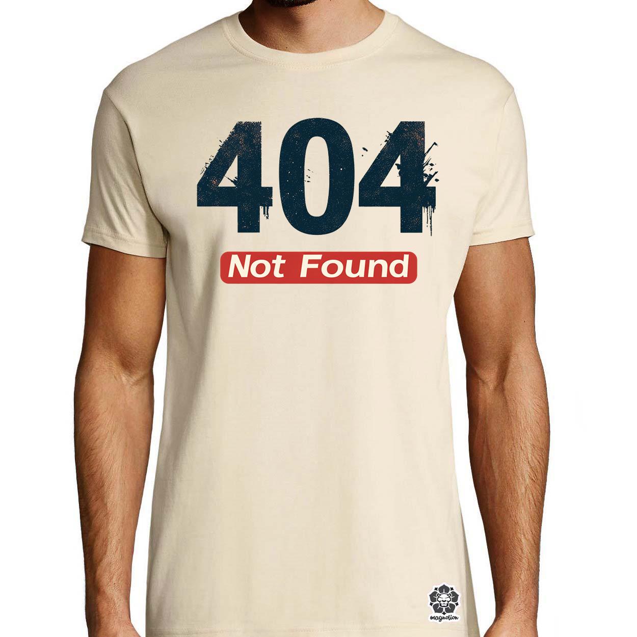 404 not found v1