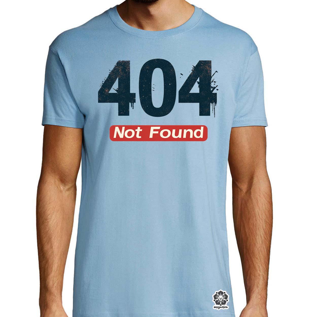 404 not found v1