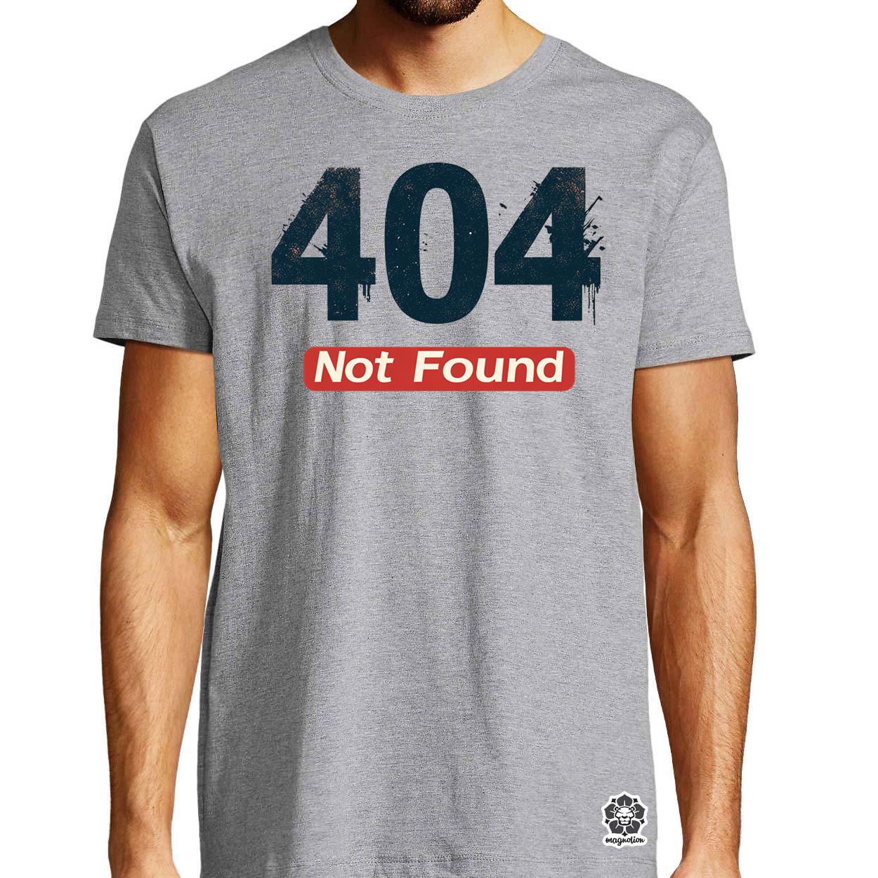 404 not found v1