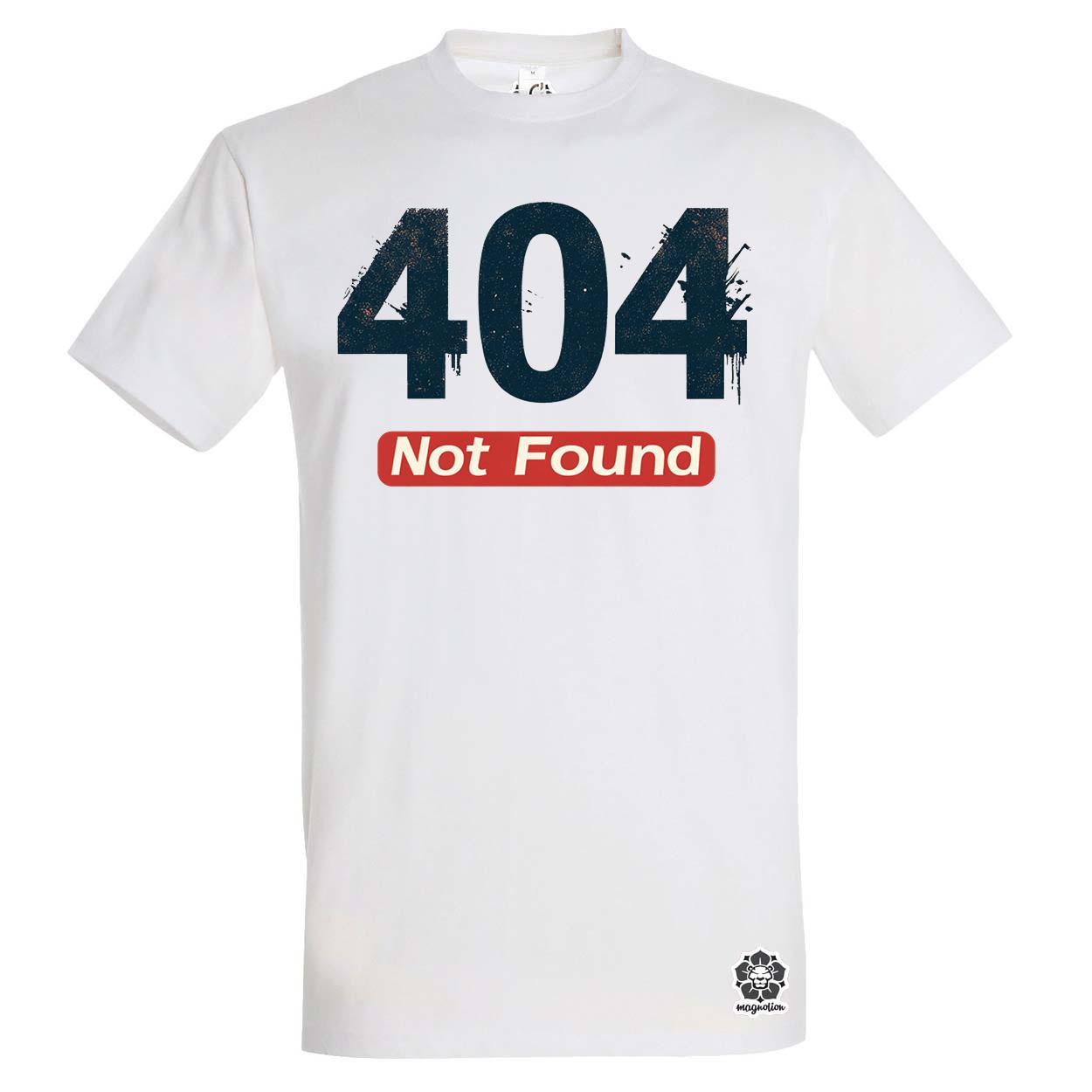 404 not found v1