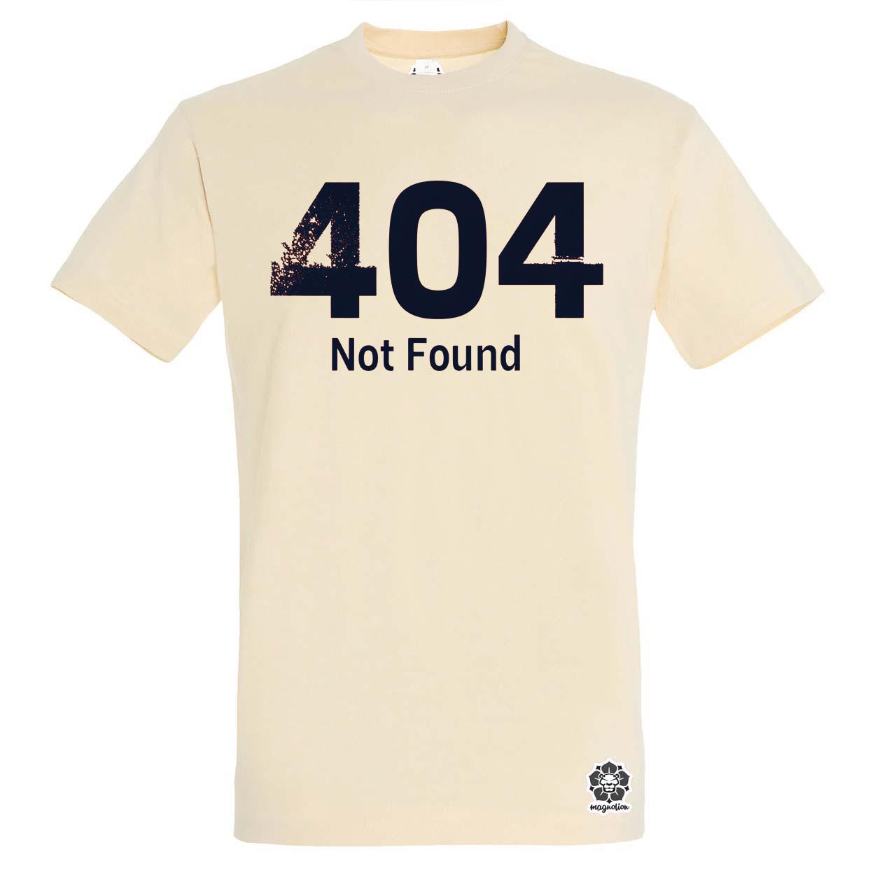 404 not found v4