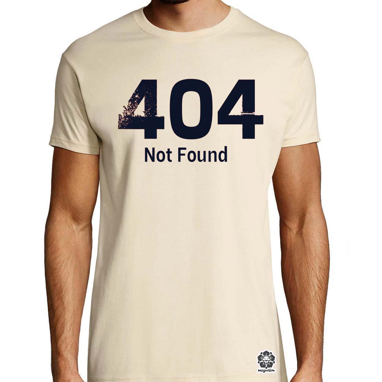 404 not found v4