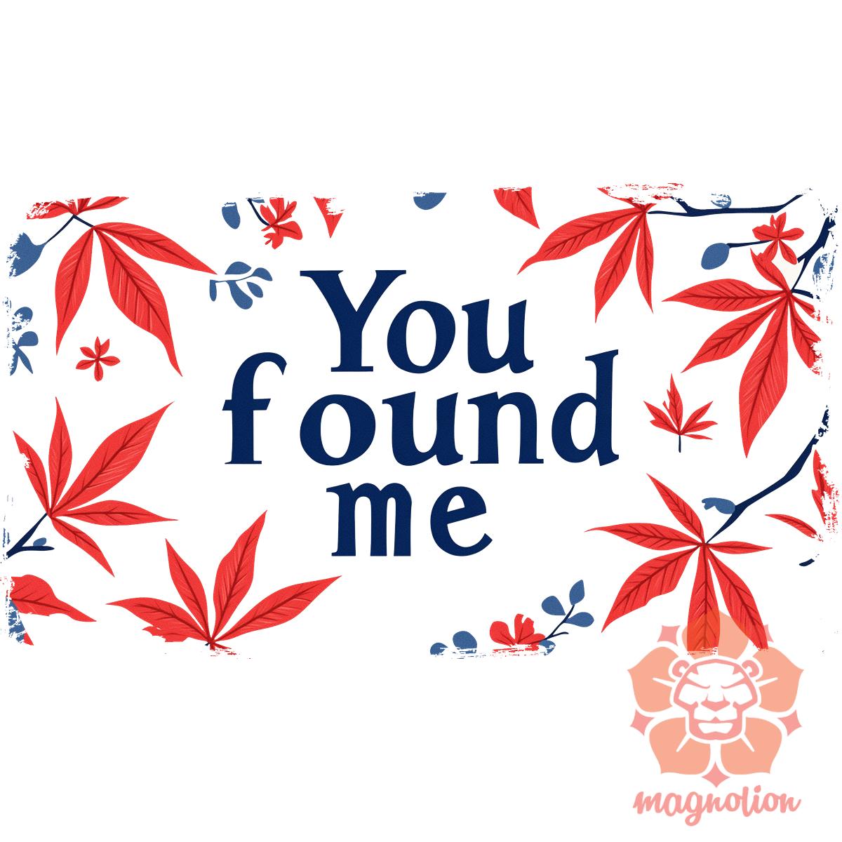 U found me v17