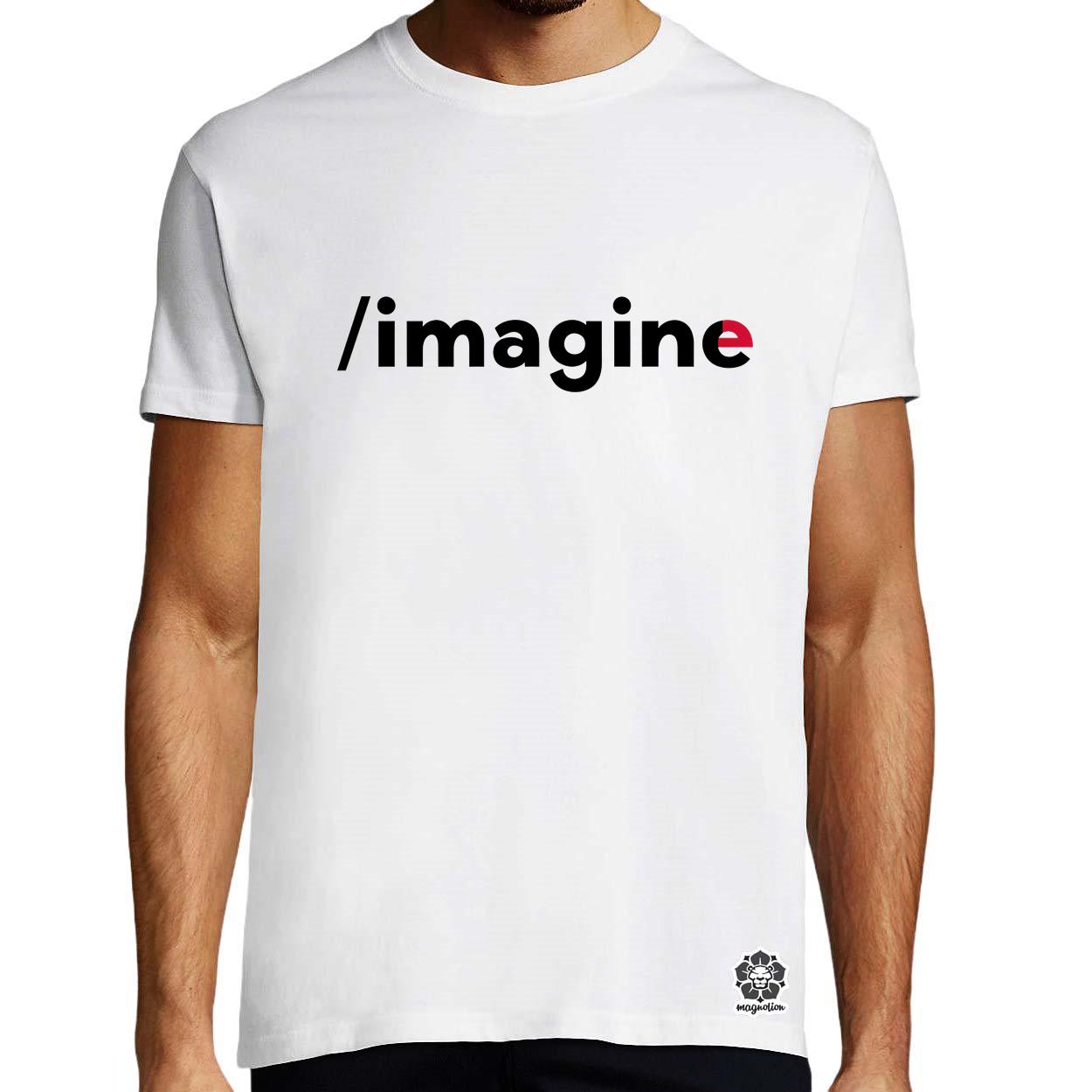 Imagine v1