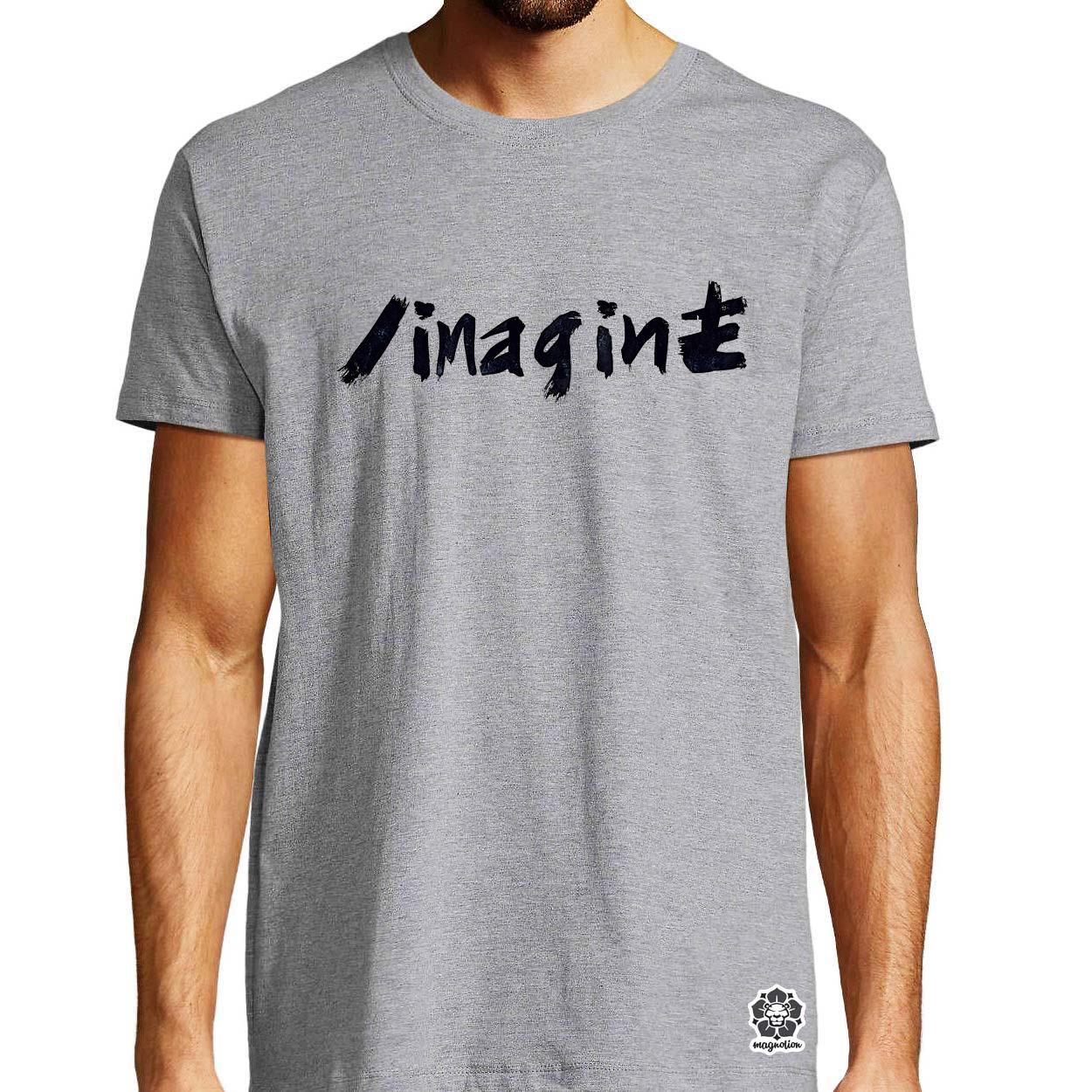 Imagine v6