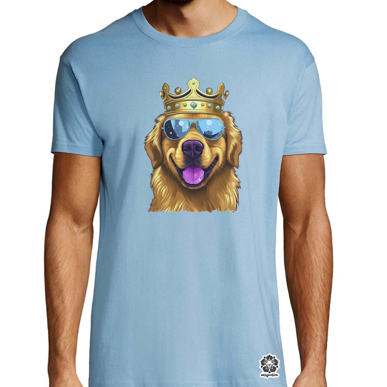 Király Golden Retriever v2