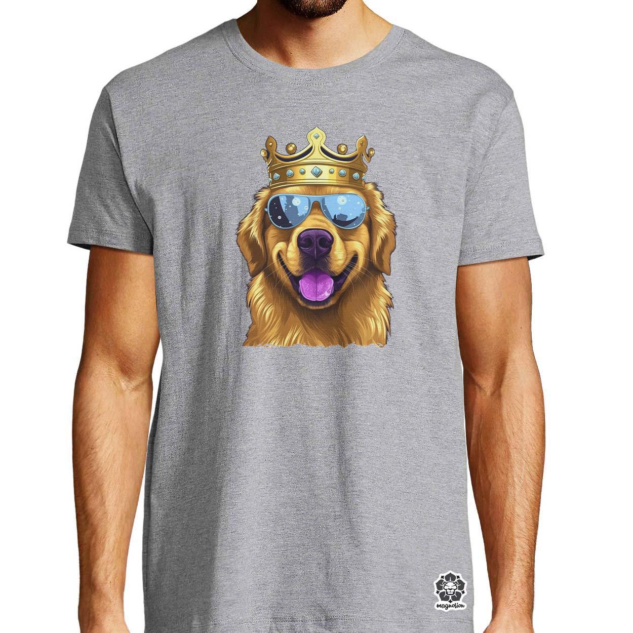 Király Golden Retriever v2