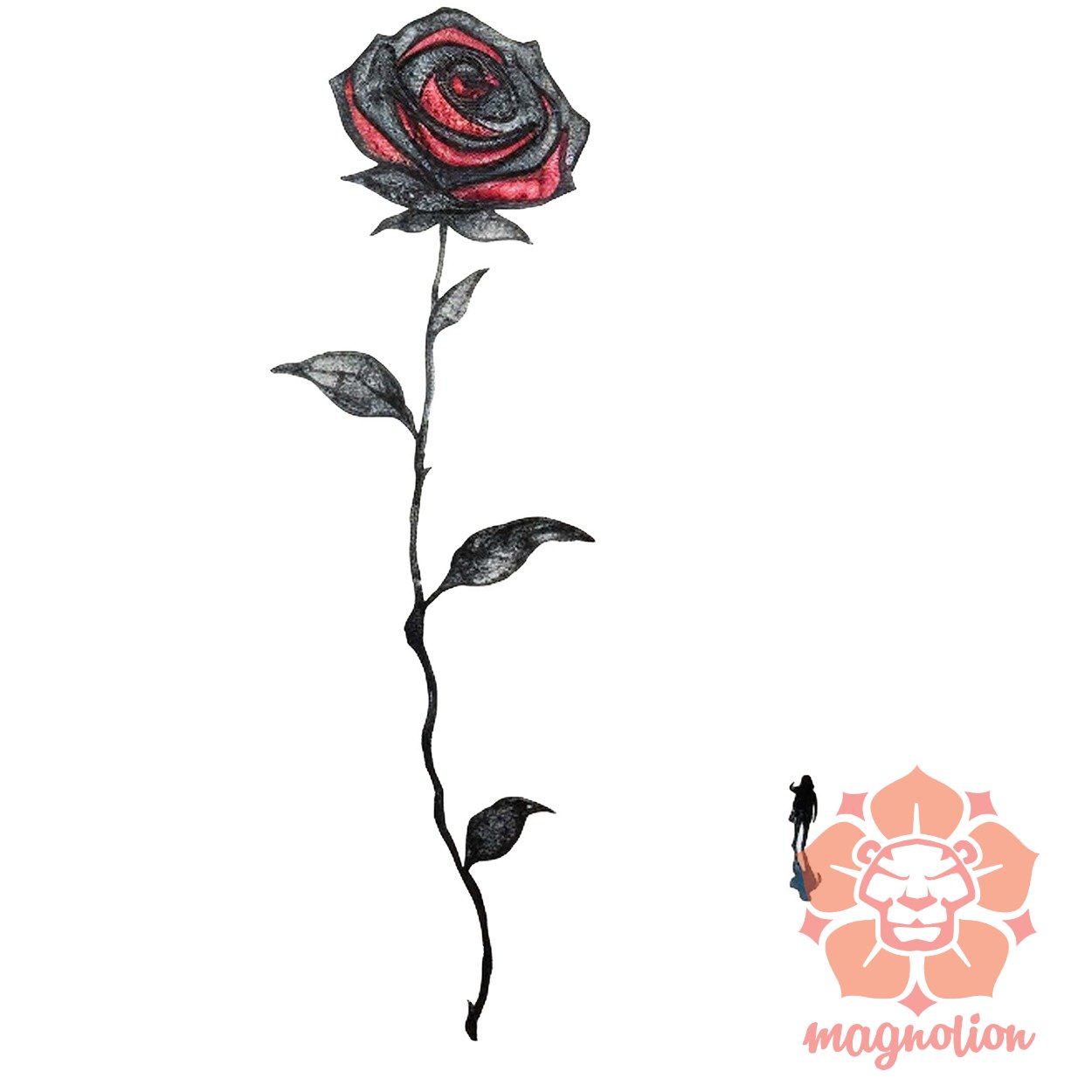 Fekete rózsa v8