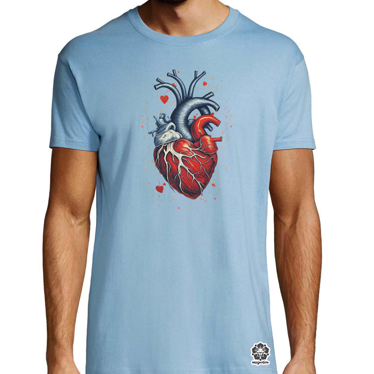 Anatom szív v2