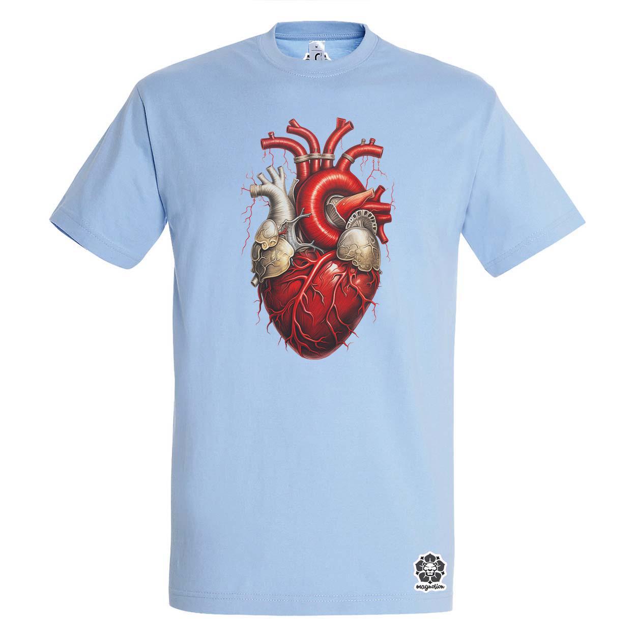 Anatom szív v3