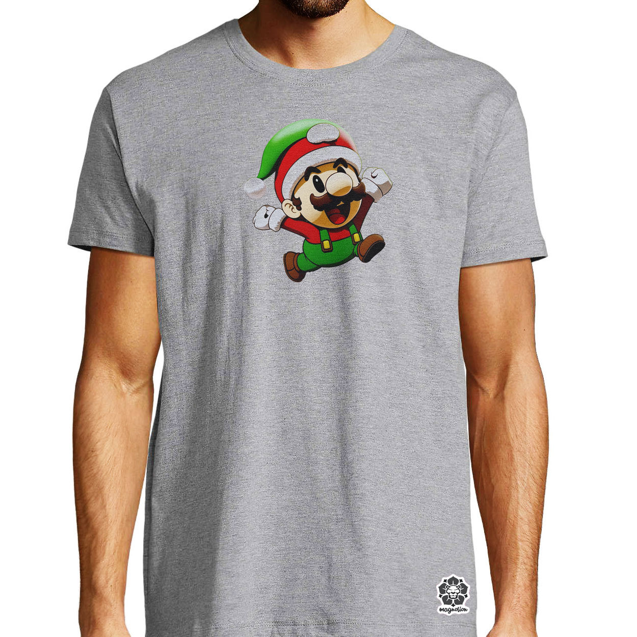 Xmas Luigi