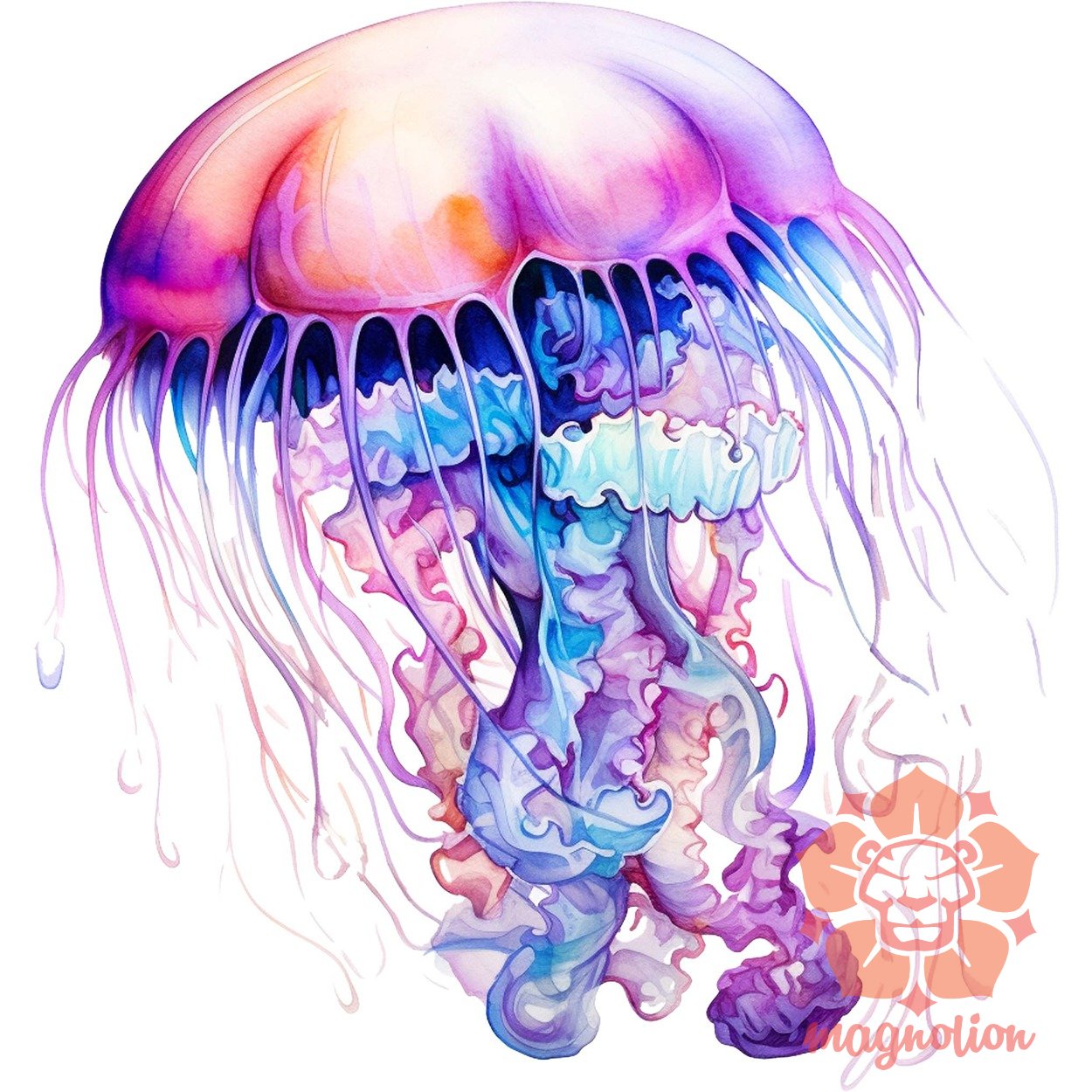 Medúza rajz v1